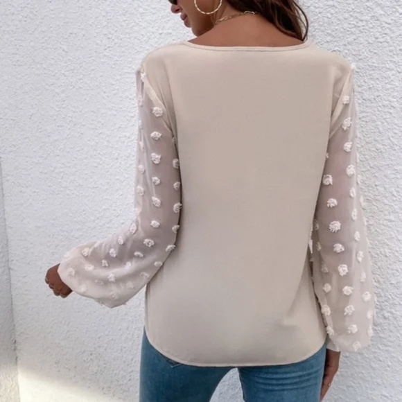 Swiss Dot Sheer Sleeve V neck Top Minimalist - Picture 4 of 4